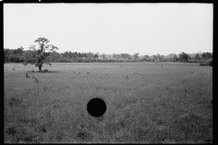 1849_Open land with possible dwelling in the distance , Maryland