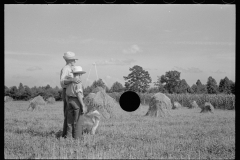 1866_Stooks of (possibly) hay , farmer with son 