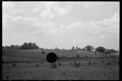 1874_Pride of harvest, hay stooks  farmer with son 