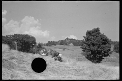 1883_Mowing hay on tricky sloping ground