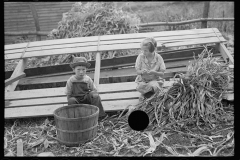 1892_ Children  sitting with  harvested corn 