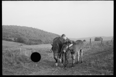 1894_Young farmer with horse and foal 