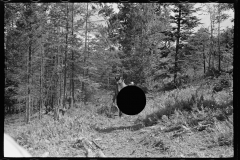 1896_Retrieving timber with horse ,probably Vermont