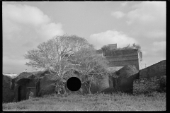 1954_Somewhat overgrown, large building unknown location