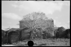 1955_Somewhat overgrown large building unknown location