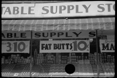 1973_Vegetable Supply stores , Washington D.C.