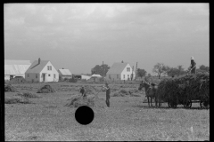 1980_Hay making , field close to homestead with large barn,