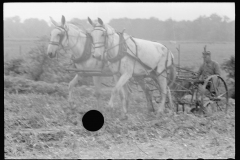 2015_Horse drawn harrow ,  Wabash Farms,  Indiana