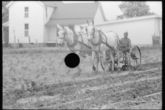 2017_Horse drawn harrow ,  Wabash Farms,  Indiana