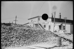 2053_Oyster pile and DuBois Sail loft ,  New Jersey