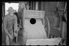 2092_Corn being  fed into shaft of grain elevator,  Gibson City, Illinois