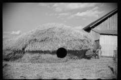 2157_Haystack outside Dairy barn , Chattanooga