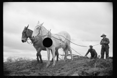 2162_Preparing fields for spring planting, North Carolina