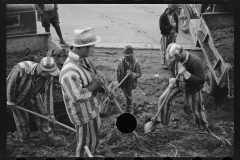 2165_Convicts working on State road, North Carolina