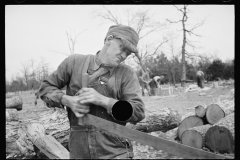 2191_Woodman with cross-cut saw , Coalins project  farm,  