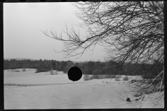 2321_Sand covering grass, Freeport , The Desert of Maine