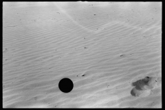 2324_Sand covering grass, Freeport , The Desert of Maine