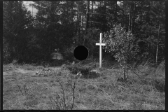 2382_  Lone cross and abandoned log  rollway  , Au Sable River, Michigan