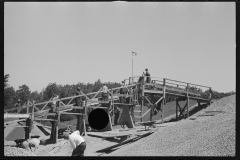 2389_Black-American workers, Newport News Homesteads, Virginia