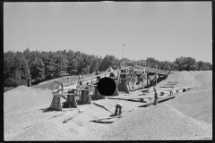 2390_Black-American workers, Newport News Homesteads, Virginia