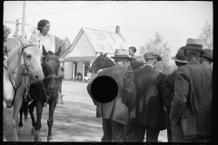 2535_ Judging the Horses  at the fair, Albany, Vermont