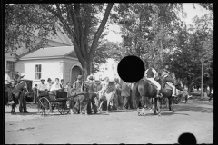 2537_Horses at the fair, Albany, Vermont