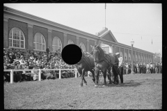 2586_Dynamometer used in  horse-pulling contest, Eastern States Fair,