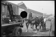 2588_Dynamometer used in  horse-pulling contest, Eastern States Fair, 