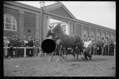 2590_Controlling horses , Eastern States Fair, Springfield, Massachusetts