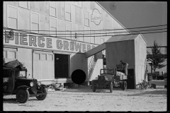 2632_Loading grapefruit ,Fort Pierce, Florida