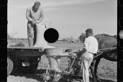 2648_Large quantities of fertilizer being used to grow celery,  Sanford, Florida