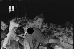 2664_A worker at  the grapefruit canning plant ,  Winter Haven, Florida