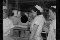 2667_Women workers , canning grapefruit ,  Winter Haven , Florida