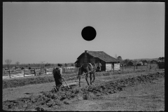 2738_Ploughing by horse at Gee's Bend, Wilcox County, Alabama