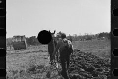 2740_Ploughing by horse at Gee's Bend, Wilcox County, Alabama