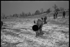 2744_ Planting slash pine, Tuskegee Project, Macon County, Alabama,