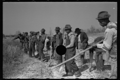 2749_Planting slash pine, Tuskegee Project, Macon County, Alabama,