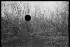 2751_Beaver dam, Tuskegee Project, Macon County, Alabama