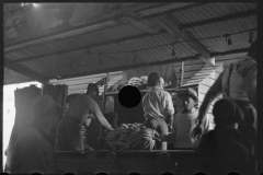2768_Unloading Bananas. on the dock, Mobile, Alabama