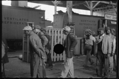 2769_ Black_Americans (possibly) signing on , to unload Bananas , Mobile, Alabama
