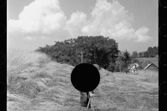 2816_Cutting Hay with a scythe ,  Windsor County, Vermont