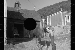 2858_  McNally Family Horse,  Kirby, Vermont