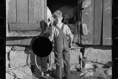 2860_Pigs ,McNally Family  Farm, Kirby, Vermont