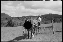 02875_Frank Kinney abord a hay rake, Eden Mills, Vermont