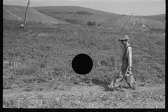 3004_Carrying water from the source  to their home; . Williams County, North Dakota