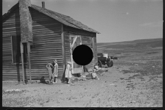 3010_ Children of Floyd Peaches, farmer,  Williston , North Dekota.