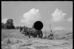 3072_Cutting hay, Windsor County, Vermont