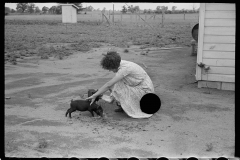 3083_ Hand rearing piglets , Wabash Farms, Indiana