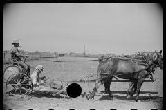 3091_Planting tomatoes,  Wabash Farms,