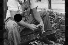 3185_ Shucking  and draining oysters, Bivalve, New Jersey